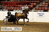 10buck_3763 proof