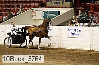 10buck_3764 proof