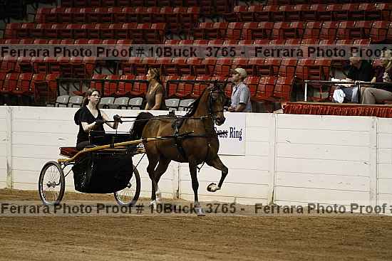 Proof 10buck_3765