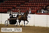 10buck_3765 proof