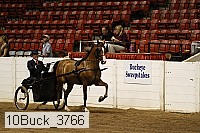 10buck_3766 proof
