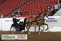 10buck_3767 proof