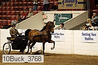 10buck_3768 proof
