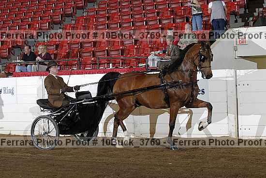 Proof 10buck_3769