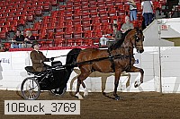 10buck_3769 proof