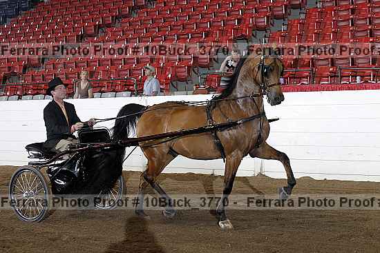 Proof 10buck_3770