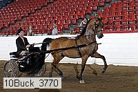 10buck_3770 proof