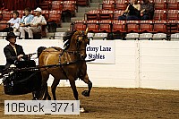 10buck_3771 proof