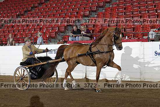 Proof 10buck_3772