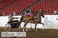 10buck_3772 proof