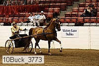 10buck_3773 proof