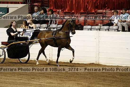 Proof 10buck_3774
