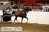 10buck_3774 proof