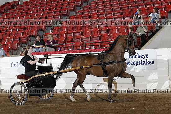 Proof 10buck_3775