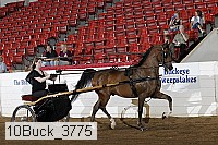 10buck_3775 proof