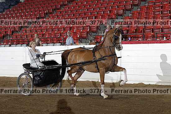 Proof 10buck_3776