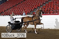 10buck_3776 proof