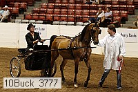 10buck_3777 proof