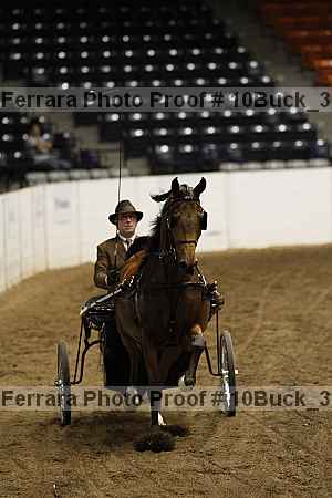 Proof 10buck_3779