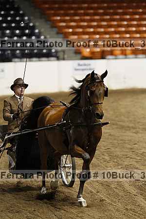 Proof 10buck_3780