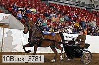 10buck_3781 proof