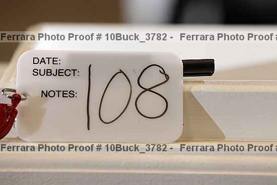 Proof 10buck_3782