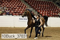 10buck_3783 proof