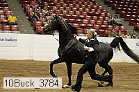 10buck_3784 proof