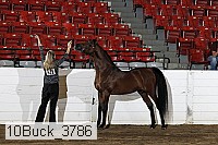 10buck_3786 proof
