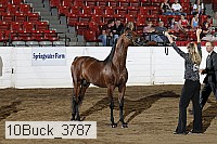 10buck_3787 proof