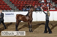 10buck_3788 proof
