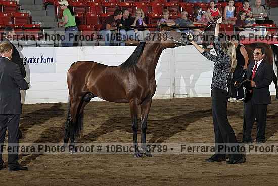 Proof 10buck_3789