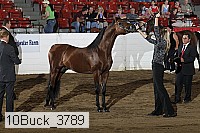 10buck_3789 proof