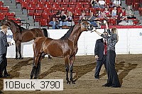 10buck_3790 proof