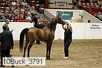 10buck_3791 proof