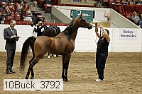 10buck_3792 proof