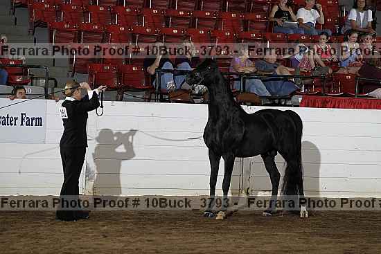 Proof 10buck_3793