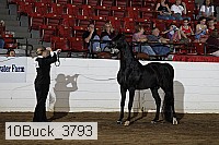 10buck_3793 proof