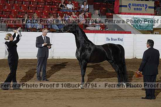 Proof 10buck_3794