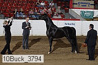 10buck_3794 proof