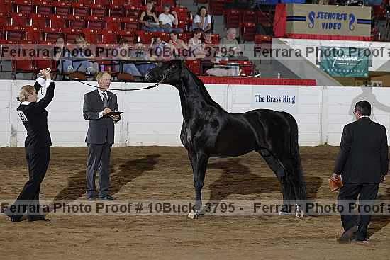 Proof 10buck_3795