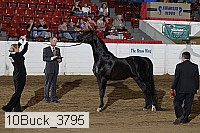 10buck_3795 proof
