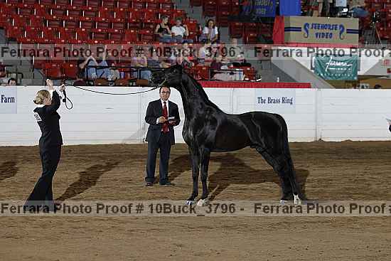 Proof 10buck_3796