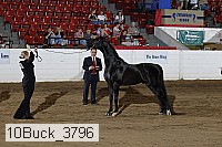 10buck_3796 proof