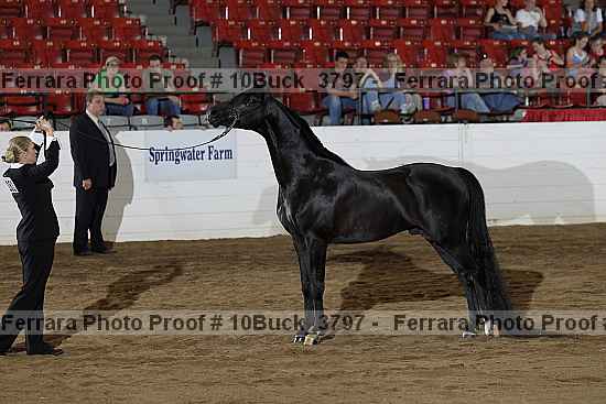 Proof 10buck_3797