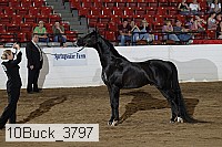 10buck_3797 proof
