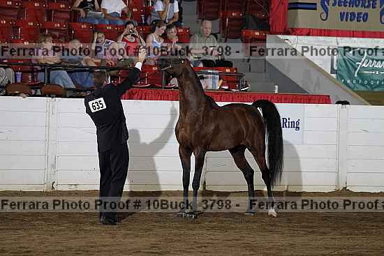 Proof 10buck_3798