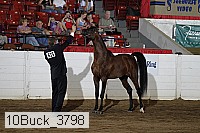 10buck_3798 proof