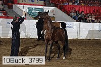 10buck_3799 proof