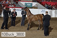 10buck_3800 proof